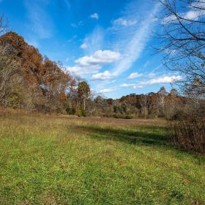 Photo #14 of 273 AIRSPORTS DR, AMHERST, VA 73.4 acres