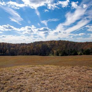 Photo #18 of 273 AIRSPORTS DR, AMHERST, VA 73.4 acres