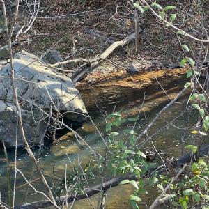 Photo #11 of 273 AIRSPORTS DR, AMHERST, VA 73.4 acres