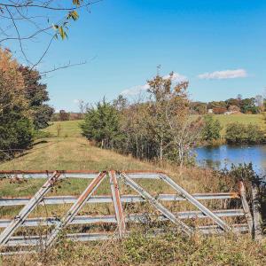 Photo #5 of Lot 15 BRIERY CREEK RD, SCOTTSVILLE, VA 24.7 acres