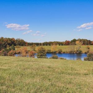 Photo #3 of Lot 15 BRIERY CREEK RD, SCOTTSVILLE, VA 24.7 acres