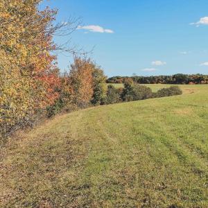 Photo #13 of Lot 15 BRIERY CREEK RD, SCOTTSVILLE, VA 24.7 acres