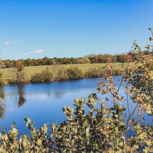 Photo #8 of Lot 15 BRIERY CREEK RD, SCOTTSVILLE, VA 24.7 acres