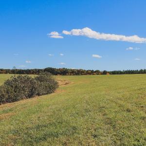 Photo #34 of Lot 15 BRIERY CREEK RD, SCOTTSVILLE, VA 24.7 acres
