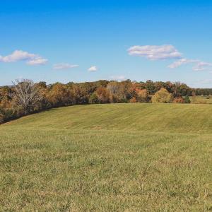 Photo #10 of Lot 15 BRIERY CREEK RD, SCOTTSVILLE, VA 24.7 acres