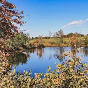 Photo #9 of Lot 15 BRIERY CREEK RD, SCOTTSVILLE, VA 24.7 acres