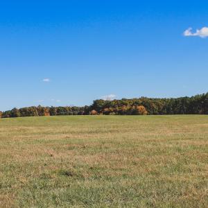 Photo #29 of Lot 15 BRIERY CREEK RD, SCOTTSVILLE, VA 24.7 acres