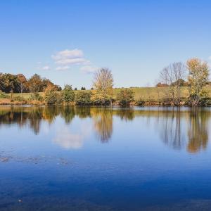 Photo #7 of Lot 15 BRIERY CREEK RD, SCOTTSVILLE, VA 24.7 acres