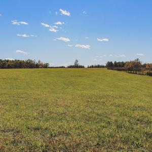 Photo #35 of Lot 15 BRIERY CREEK RD, SCOTTSVILLE, VA 24.7 acres