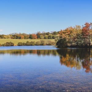 Photo #6 of Lot 15 BRIERY CREEK RD, SCOTTSVILLE, VA 24.7 acres