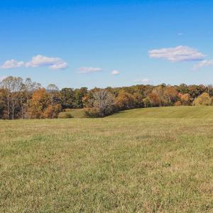 Photo #36 of Lot 15 BRIERY CREEK RD, SCOTTSVILLE, VA 24.7 acres
