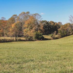 Photo #14 of Lot 15 BRIERY CREEK RD, SCOTTSVILLE, VA 24.7 acres