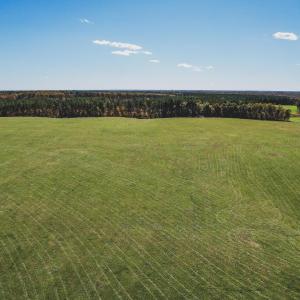 Photo #20 of Lot 15 BRIERY CREEK RD, SCOTTSVILLE, VA 24.7 acres
