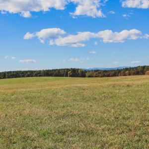 Photo #32 of Lot 15 BRIERY CREEK RD, SCOTTSVILLE, VA 24.7 acres