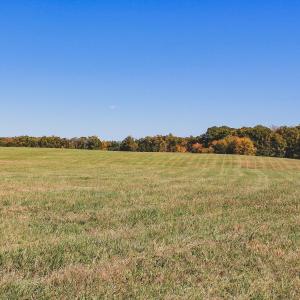 Photo #31 of Lot 15 BRIERY CREEK RD, SCOTTSVILLE, VA 24.7 acres
