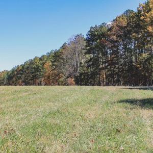 Photo #30 of Lot 15 BRIERY CREEK RD, SCOTTSVILLE, VA 24.7 acres