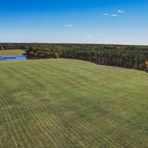 Photo #21 of Lot 15 BRIERY CREEK RD, SCOTTSVILLE, VA 24.7 acres