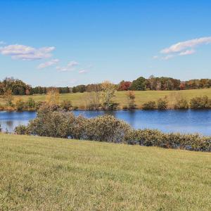 Photo #4 of Lot 15 BRIERY CREEK RD, SCOTTSVILLE, VA 24.7 acres