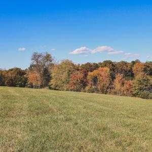 Photo #12 of Lot 15 BRIERY CREEK RD, SCOTTSVILLE, VA 24.7 acres