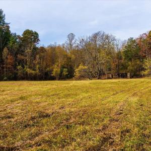 Photo #15 of 6424 FREE UNION RD, FREE UNION, VA 34.7 acres
