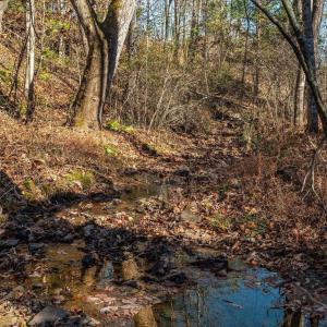 Photo #46 of 6424 FREE UNION RD, FREE UNION, VA 34.7 acres