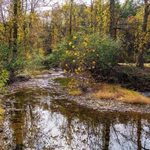 Photo #17 of 6424 FREE UNION RD, FREE UNION, VA 34.7 acres