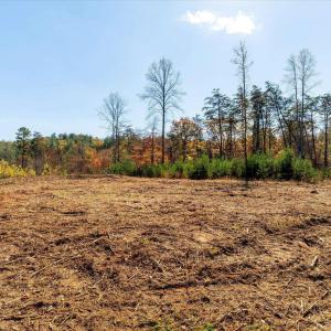 Photo #28 of 6424 FREE UNION RD, FREE UNION, VA 34.7 acres