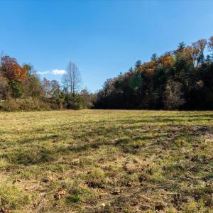 Photo #56 of 6424 FREE UNION RD, FREE UNION, VA 34.7 acres