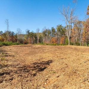 Photo #40 of 6424 FREE UNION RD, FREE UNION, VA 34.7 acres