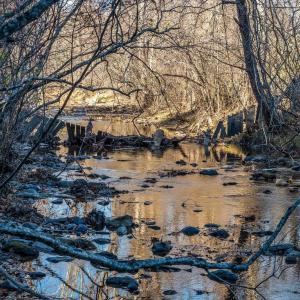 Photo #49 of 6424 FREE UNION RD, FREE UNION, VA 34.7 acres