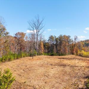 Photo #27 of 6424 FREE UNION RD, FREE UNION, VA 34.7 acres