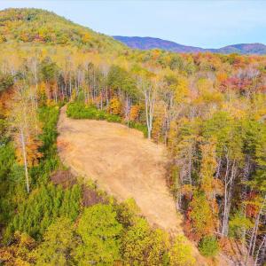 Photo #34 of 6424 FREE UNION RD, FREE UNION, VA 34.7 acres