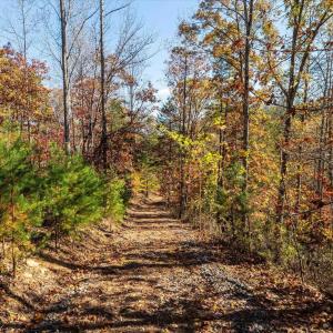 Photo #23 of 6424 FREE UNION RD, FREE UNION, VA 34.7 acres