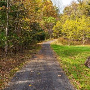 Photo #13 of 6424 FREE UNION RD, FREE UNION, VA 34.7 acres