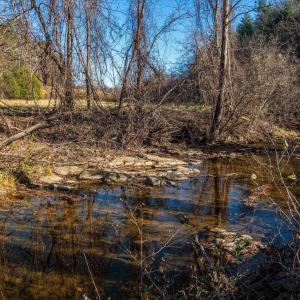 Photo #50 of 6424 FREE UNION RD, FREE UNION, VA 34.7 acres