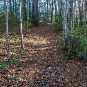 Photo #42 of 6424 FREE UNION RD, FREE UNION, VA 34.7 acres