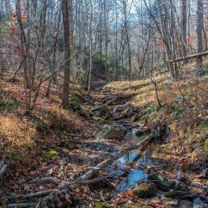 Photo #45 of 6424 FREE UNION RD, FREE UNION, VA 34.7 acres