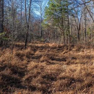 Photo #43 of 6424 FREE UNION RD, FREE UNION, VA 34.7 acres