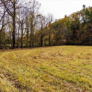 Photo #14 of 6424 FREE UNION RD, FREE UNION, VA 34.7 acres