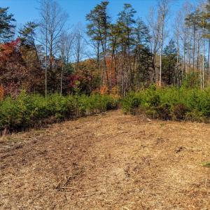 Photo #26 of 6424 FREE UNION RD, FREE UNION, VA 34.7 acres