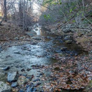 Photo #52 of 6424 FREE UNION RD, FREE UNION, VA 34.7 acres