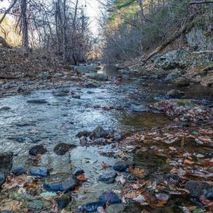 Photo #54 of 6424 FREE UNION RD, FREE UNION, VA 34.7 acres