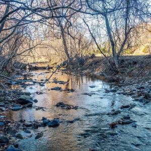 Photo #53 of 6424 FREE UNION RD, FREE UNION, VA 34.7 acres