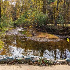 Photo #12 of 6424 FREE UNION RD, FREE UNION, VA 34.7 acres