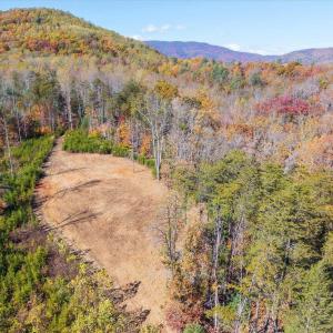 Photo #32 of 6424 FREE UNION RD, FREE UNION, VA 34.7 acres