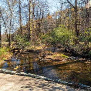 Photo #11 of 6424 FREE UNION RD, FREE UNION, VA 34.7 acres