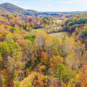 Photo #36 of 6424 FREE UNION RD, FREE UNION, VA 34.7 acres