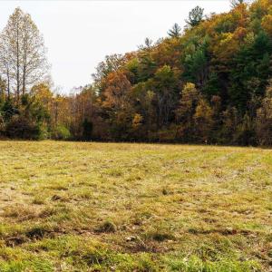 Photo #16 of 6424 FREE UNION RD, FREE UNION, VA 34.7 acres