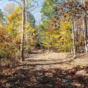 Photo #24 of 6424 FREE UNION RD, FREE UNION, VA 34.7 acres