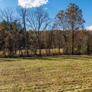 Photo #19 of 6424 FREE UNION RD, FREE UNION, VA 34.7 acres